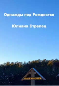 Однажды под Рождество