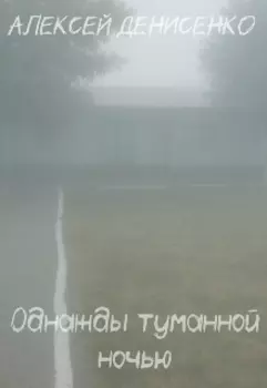 Однажды туманной ночью