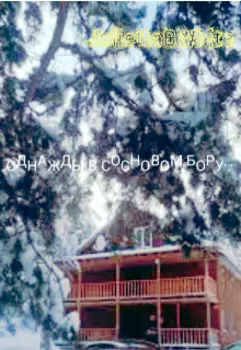 Однажды в сосновом бору...