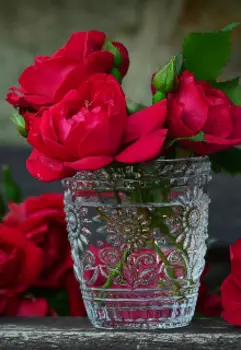 Одно из страшных периодов существования земли