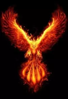 Огненный Феникс или Код Возрождения