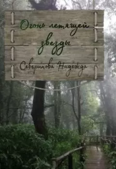 Огонь летящей звезды