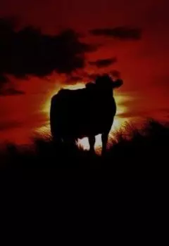 Охота на зверя.