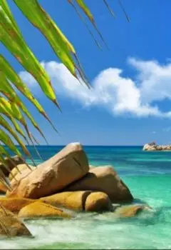 Океан биополя