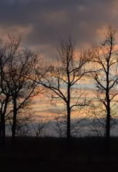 Опьяненный Страхом