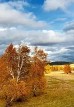 Осень нас снова собой накрывает (стихотворение)
