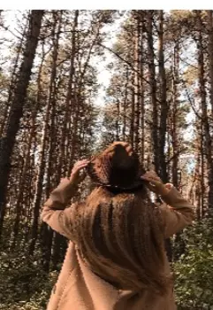 Осеннее приключение