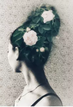 Осенние цветы