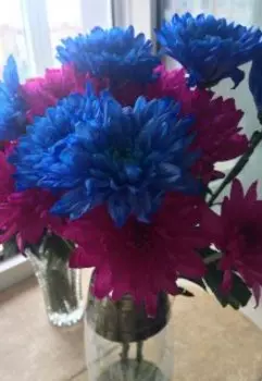 Осенние раздумья