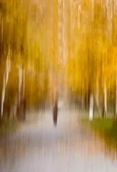 Осенний Ноктюрн