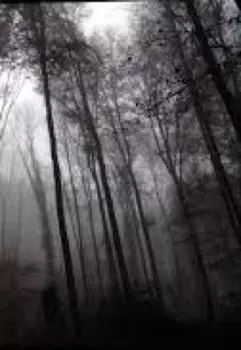 Осенняя болезнь