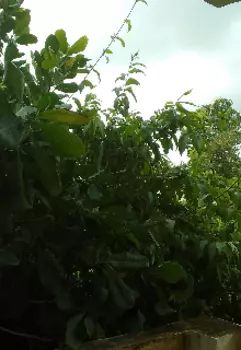 Осколки миров #1