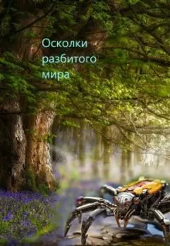 Осколки разбитого мира