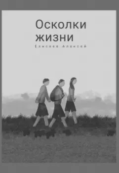 Осколки жизни