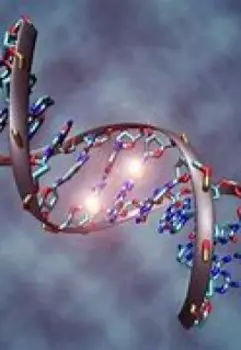 Осколок Вселенной. Память