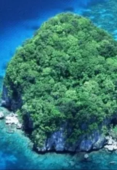 Остров на двоих