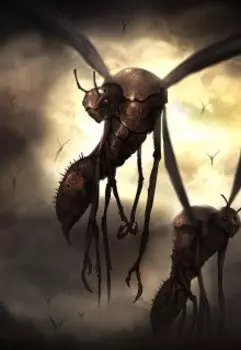 Осы в темноте