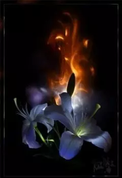 От ненависти до любви....