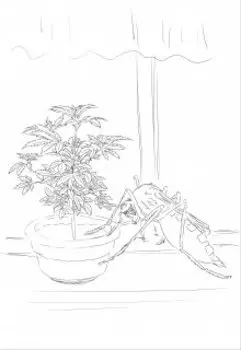 Отцы и дети