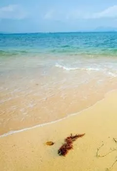 отдых на море