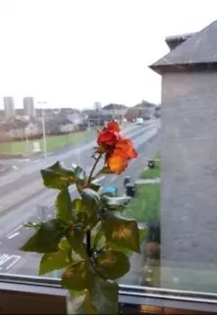 Отсюда видно море!