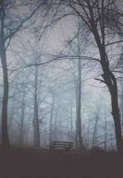 Параноидальная интуиция