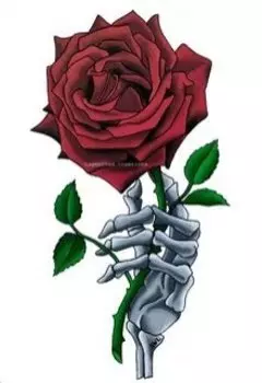 Парень с розой