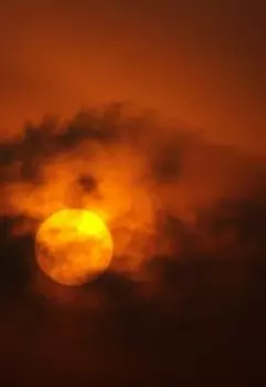 Пасифая. Легенда о Белом быке