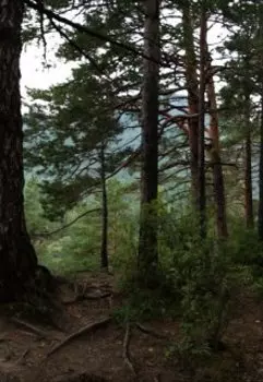 Перекрёсток