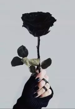 перестань плакать или моя новая жизнь