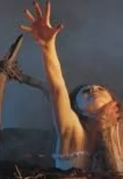 Дневники в лесу