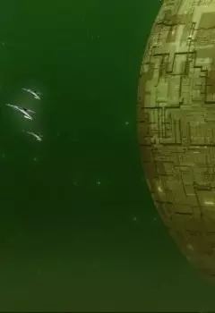 Первый контакт