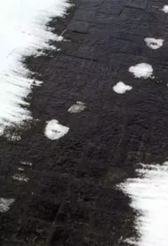 Первый снег