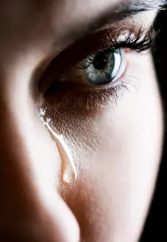 Писатель и Леди