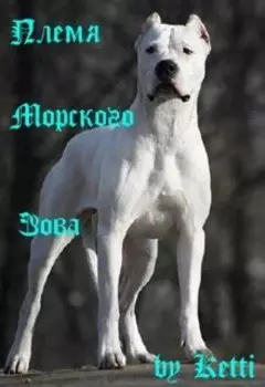 Племя "Морского Зова"
