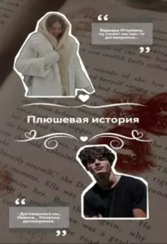 Плюшевая история