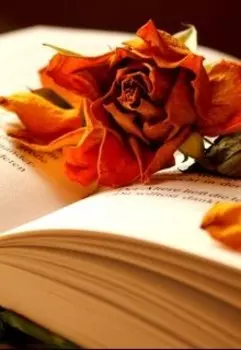 Поэзия Кирилл Пожидаев