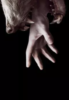 Под покровом луны