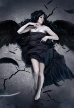 Под сенью черного крыла