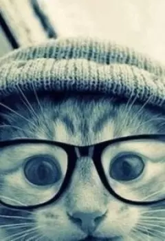 Под солнцем Вдохновения в пустыне Чтения.