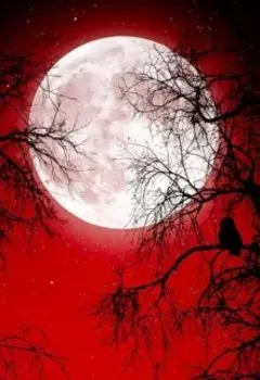 Под светом крови