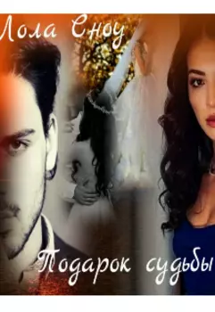 Подарок судьбы.