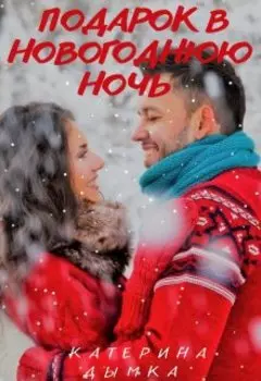 Подарок в новогоднюю ночь