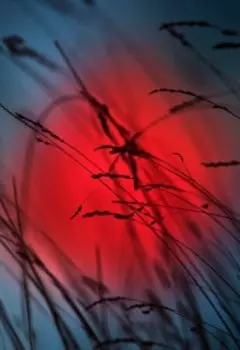 Подберёзовики