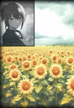 Подсолнухи