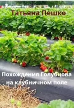 Голубцов на клубничном поле