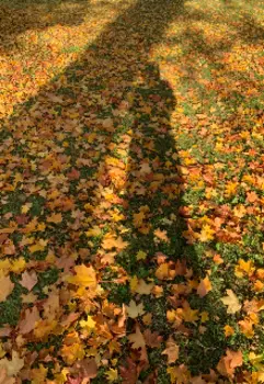 Пол века рядом с тобой