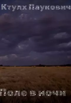 Поле в ночи