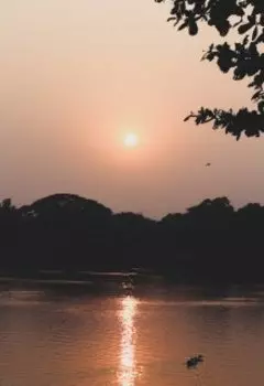 Понимаемый расчёт за бледными пережитками ума