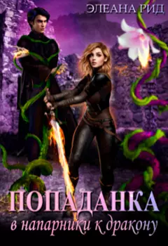 Попаданка в напарники к дракону